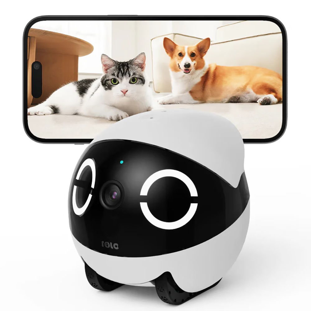 Robot Pendamping Mini Desain T - Home Security Robots ulasan dan harga
